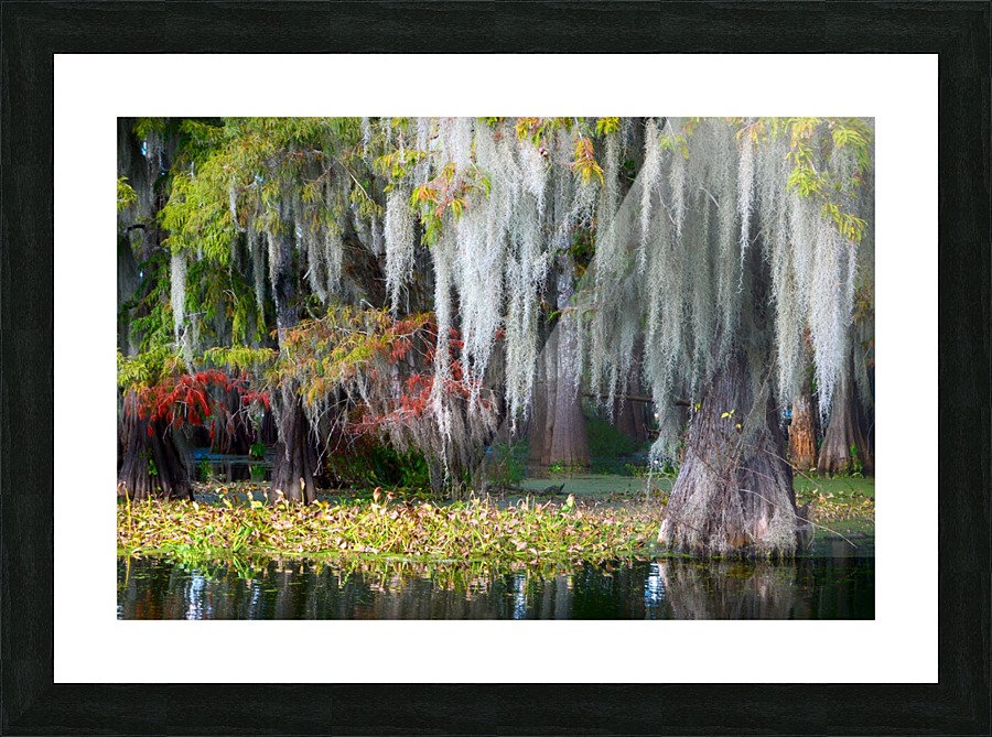 Spot Me Out Picture Frame print