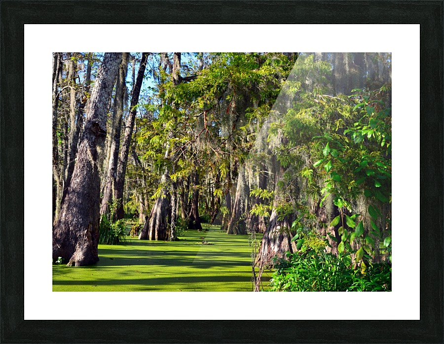 Travel My Path Picture Frame print