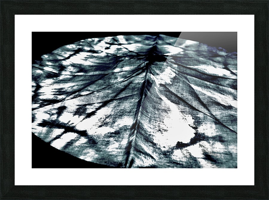 Where Does it Lay Picture Frame print
