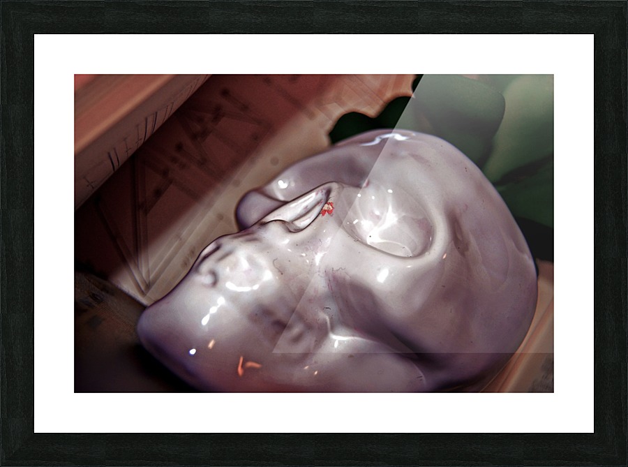 Collecting Dust Picture Frame print