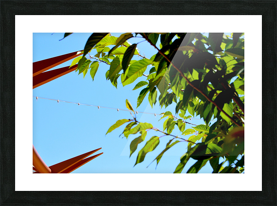 Light Up Picture Frame print