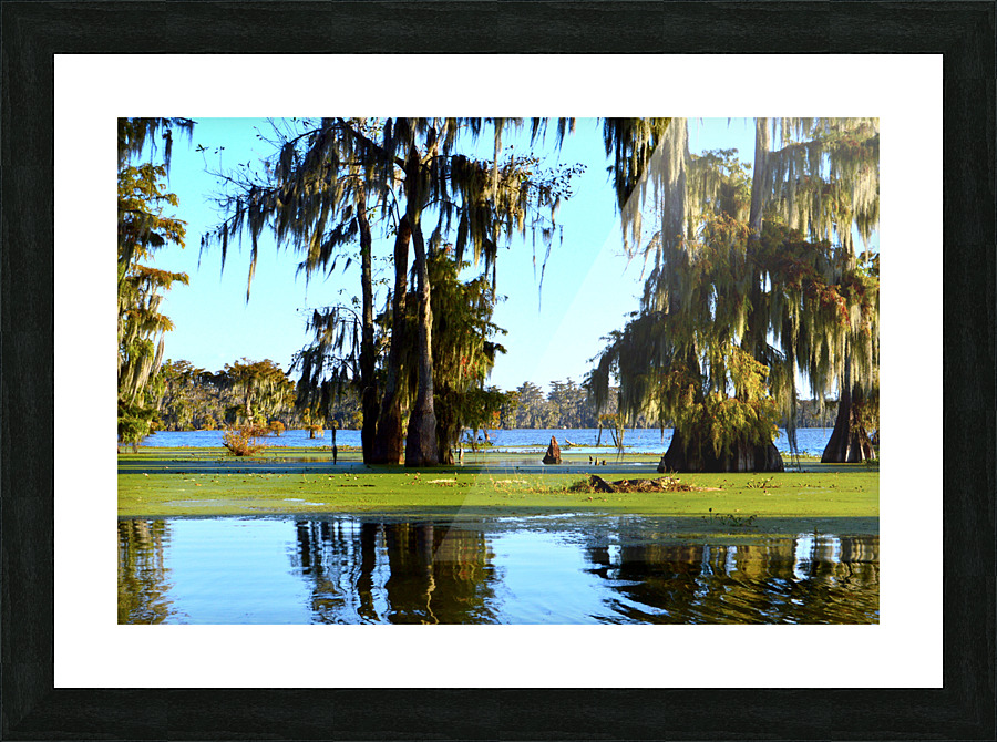 Watch Me Go Picture Frame print