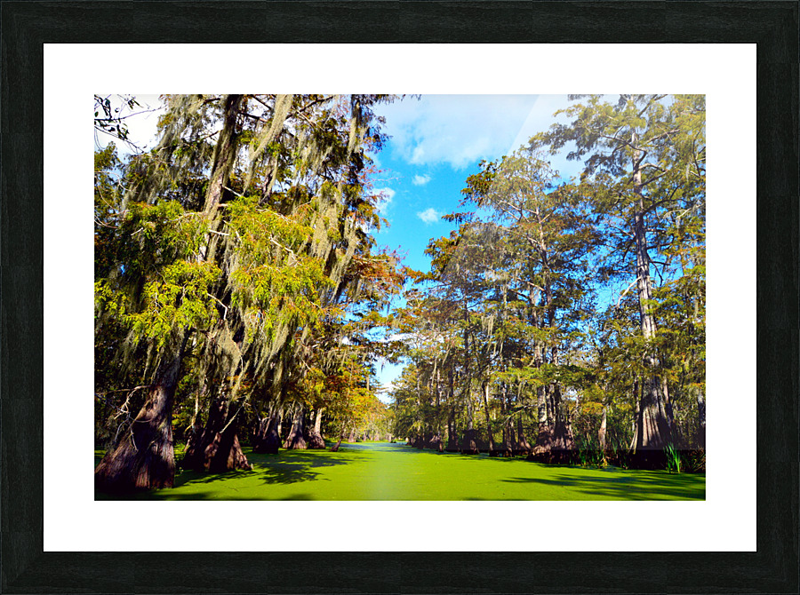 Cannot Look Away Picture Frame print