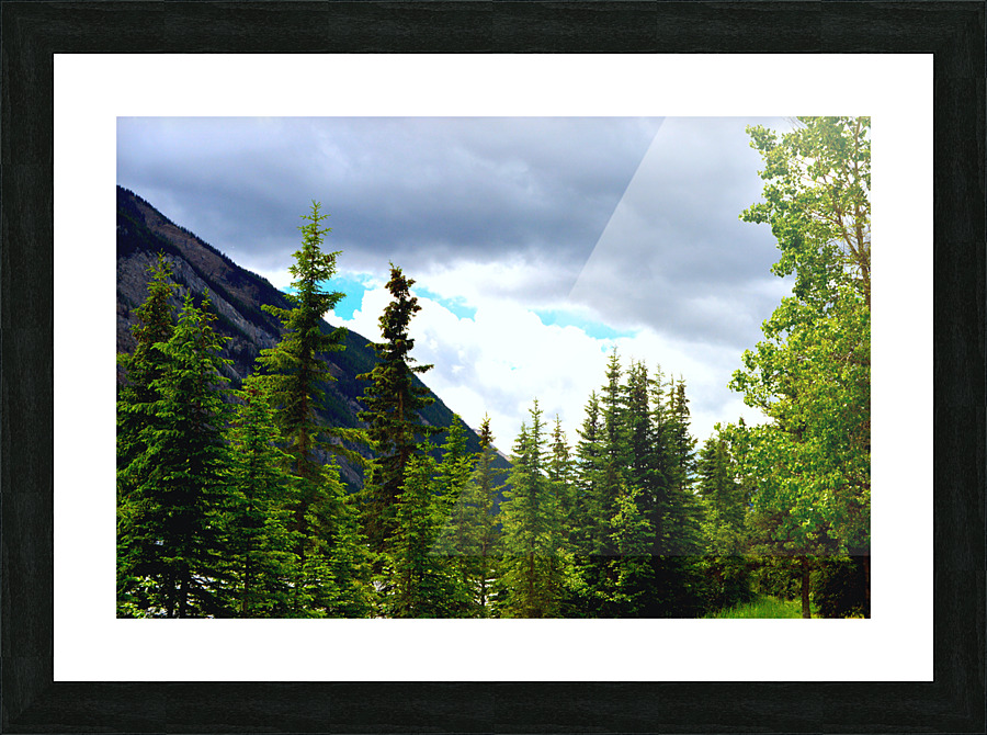 Perspective Approves Picture Frame print