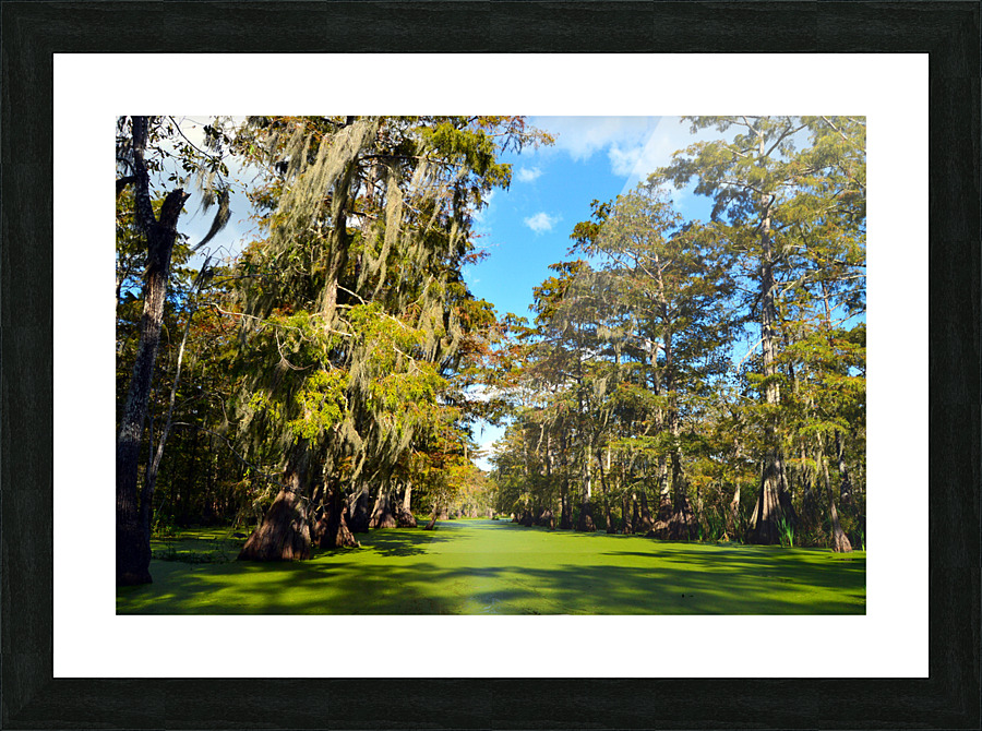 Where to Next Picture Frame print