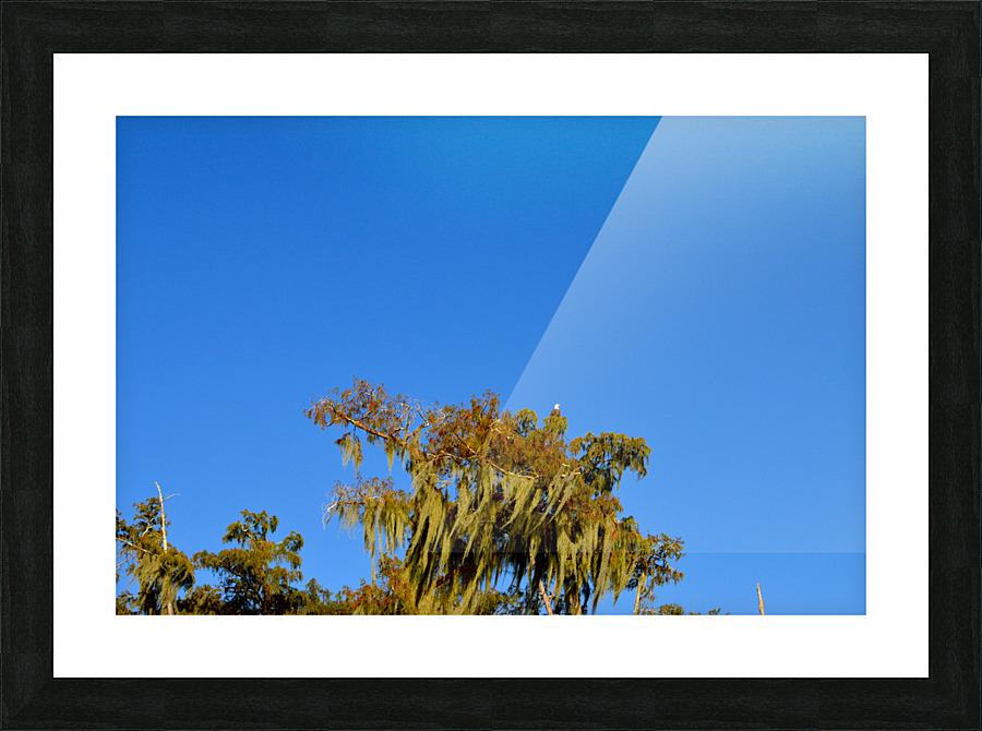 Keep An Eye Out Picture Frame print
