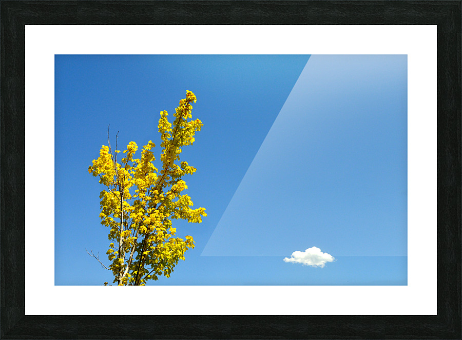 Bliss Picture Frame print