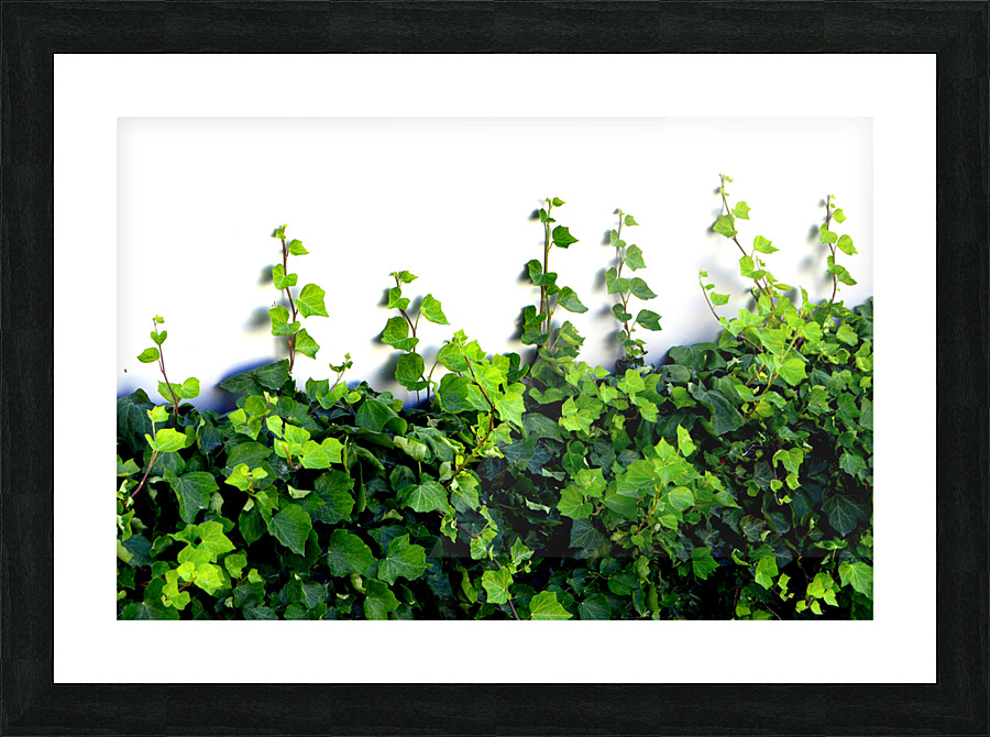 Growing On You Picture Frame print