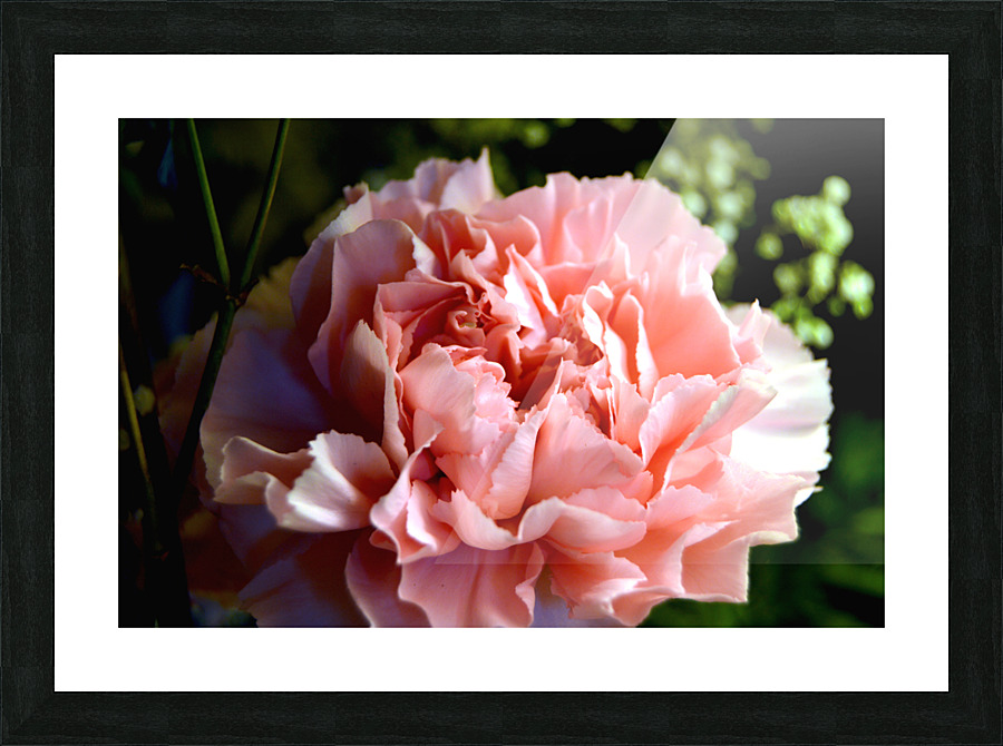 Proper Pink Picture Frame print