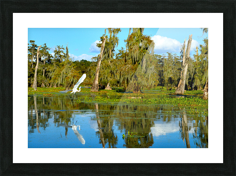 Glide With Me Picture Frame print