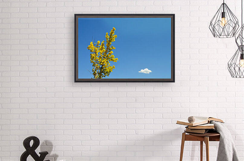 Bliss Reproduction