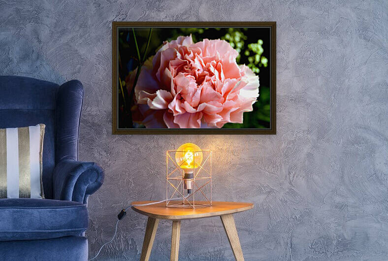 Proper Pink by Alexis Patten