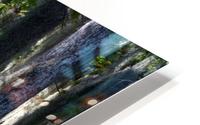 Swampy HD Metal print