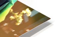Sharp HD Metal print