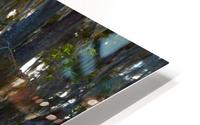 Turtle Territory   HD Metal print