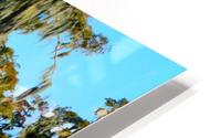 Here I Am Again HD Metal print