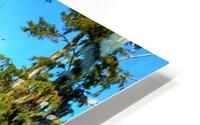 Reflect Much HD Metal print