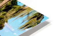 Swim or Not HD Metal print