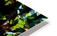 Light Up HD Metal print