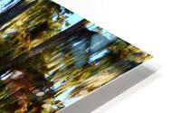 Watch Me Go HD Metal print