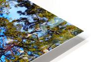 Cannot Look Away HD Metal print