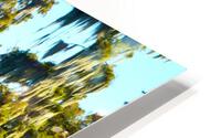Copycat  HD Metal print
