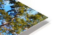 Where to Next HD Metal print