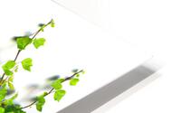 Growing On You HD Metal print