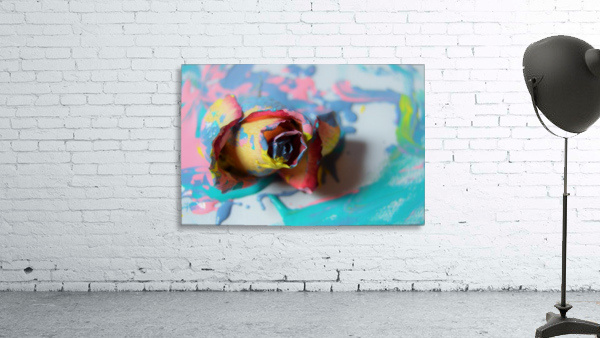 Painted Roses.01 Wall Preview