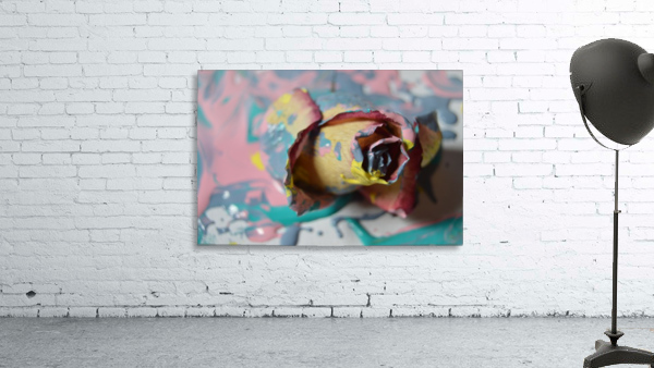 Painted Roses.03 Wall Preview