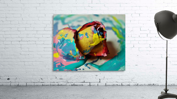 Painted Roses.06 Wall Preview