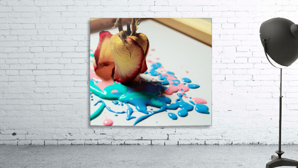Painted Roses.12 Wall Preview