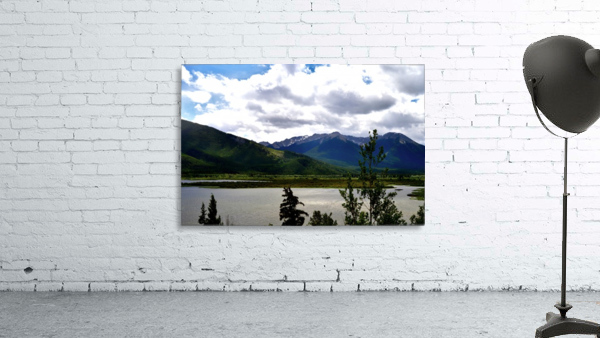 See Wall Preview