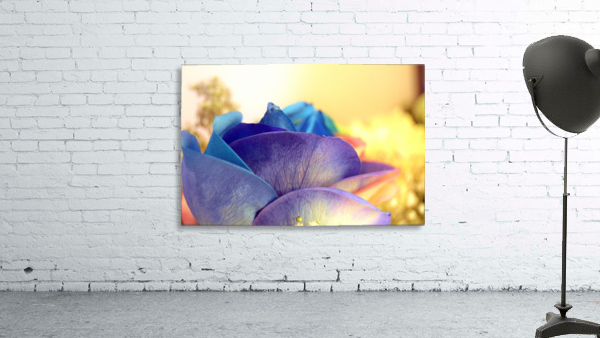 Colourful Days Wall Preview