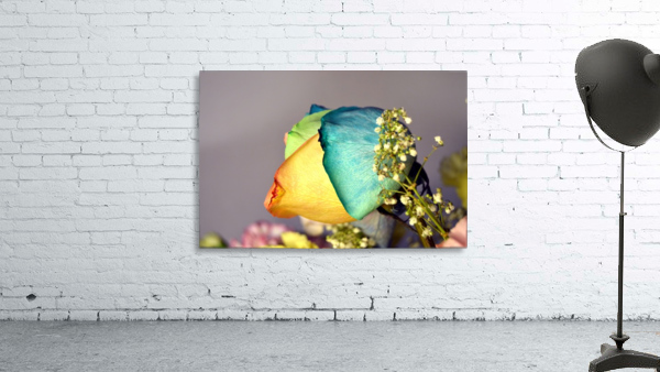 Blank Colours Wall Preview