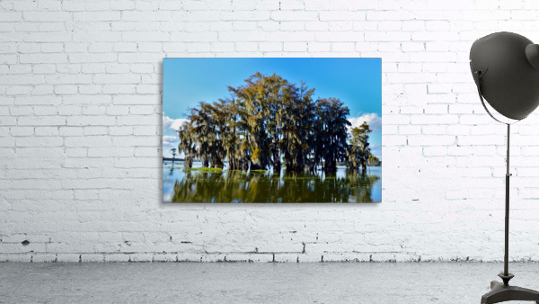 Waterways Wall Preview