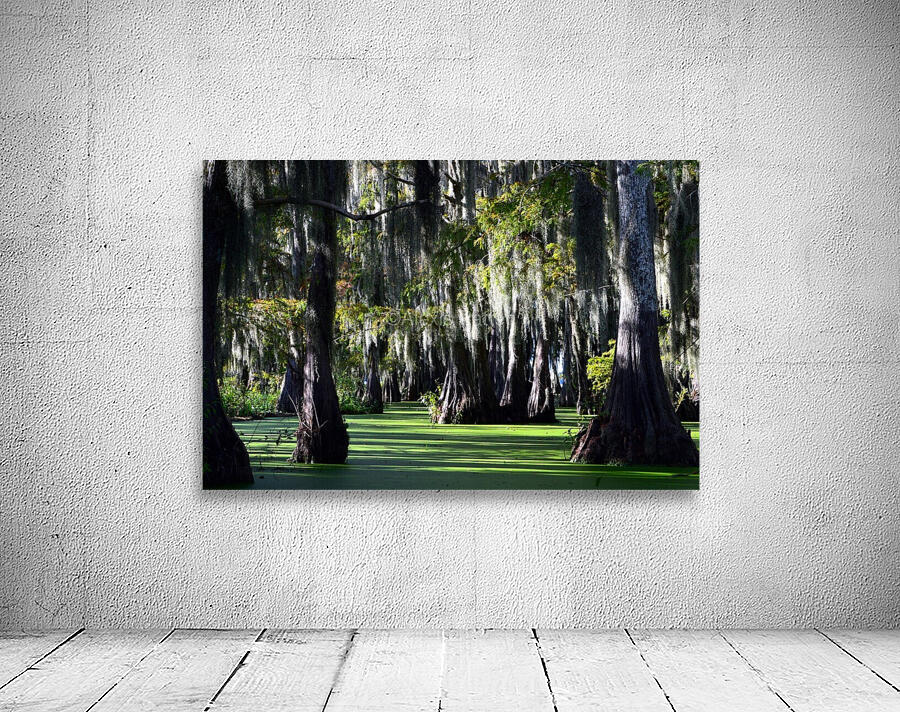 Swampy Wall Preview