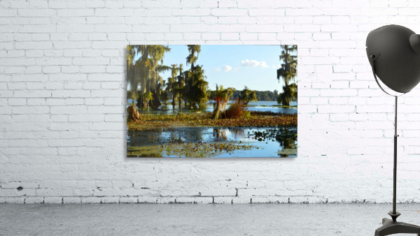 Blurred But Focused Wall Preview