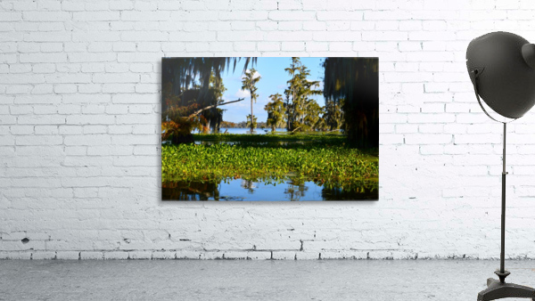 See Me Yet Wall Preview