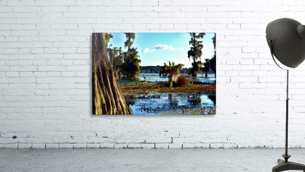 Seek Me Out Wall Preview