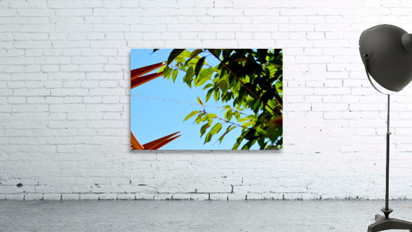 Light Up Wall Preview