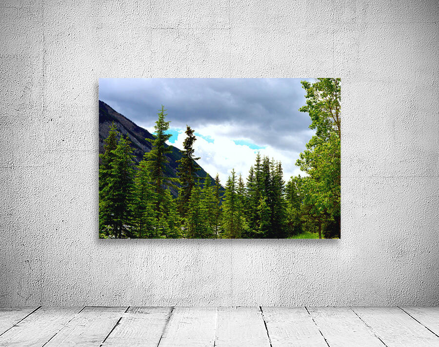 Perspective Approves Wall Preview