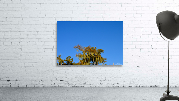 Keep An Eye Out Wall Preview