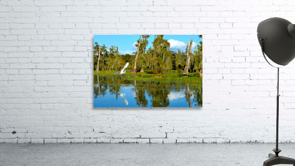 Glide With Me Wall Preview