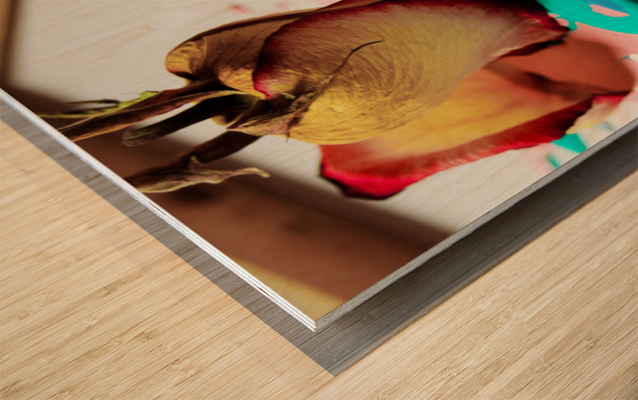 Painted Roses.12 Wood print