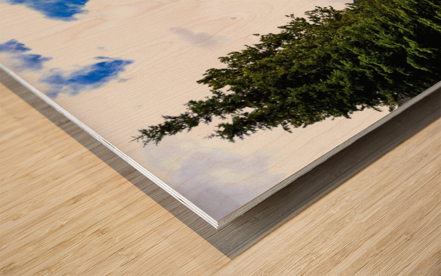 Where to Go Wood print