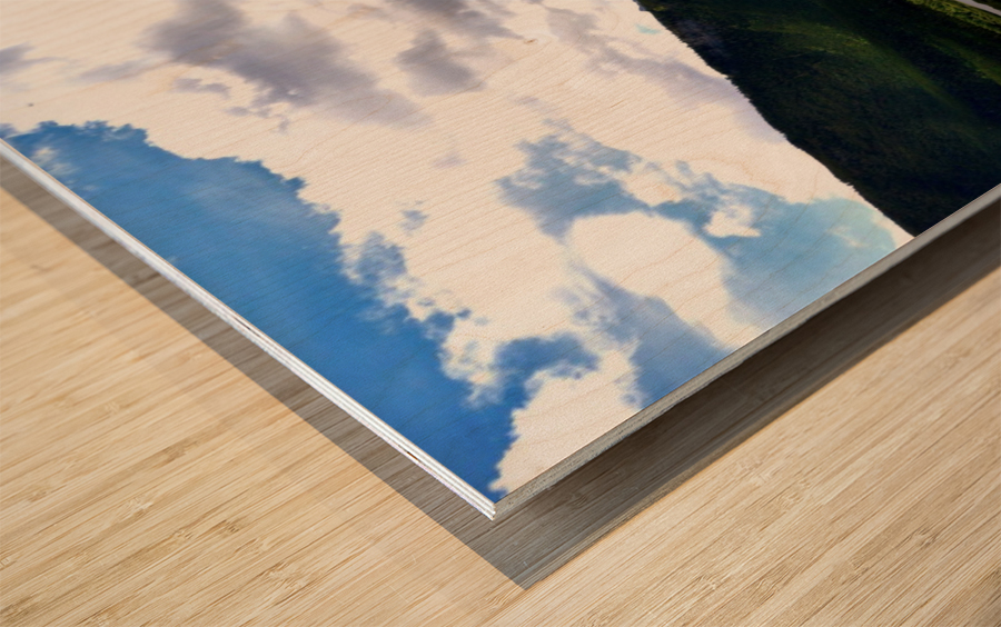 See Wood print
