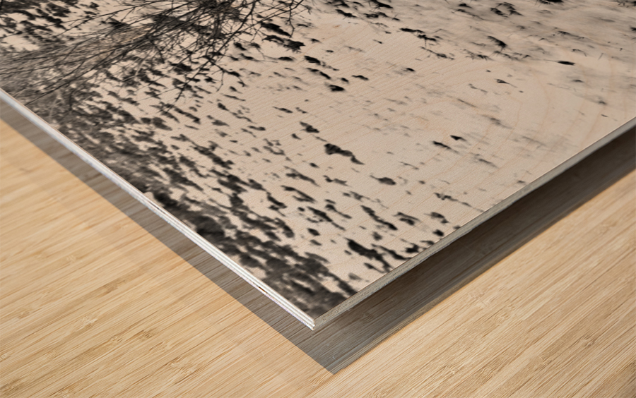 Cold Showers Wood print