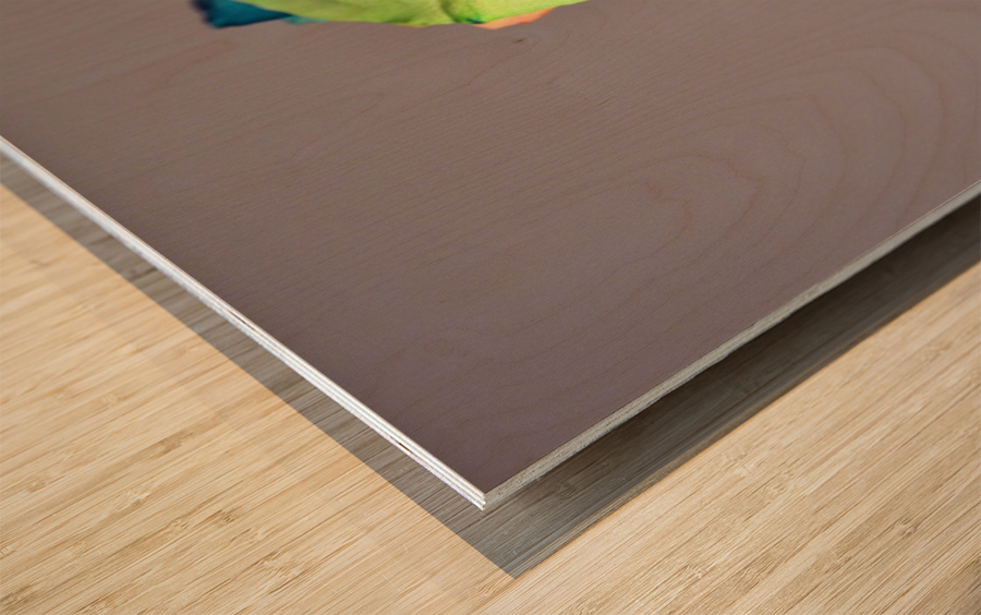 Blank Colours Wood print