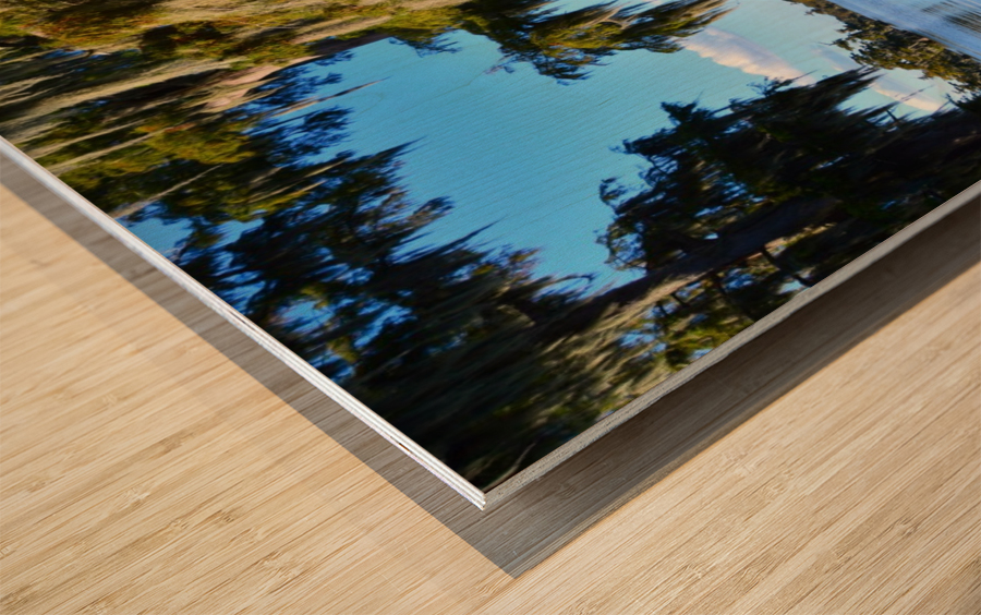 Rock Bottom Wood print